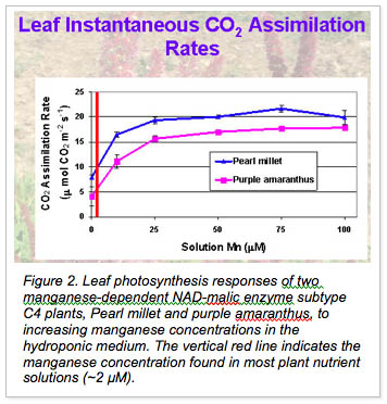 leaf instantaneous CO2 Assimilation rates