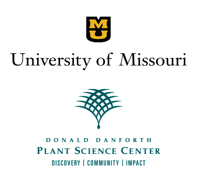 The University of Missouri (MU) in Columbia, Missouri and the Donald Danforth Plant Science Center (DDPSC) in St. Louis, Missouri seek applications for a joint faculty position in plant biology <br><br><a href=https://ipg.missouri.edu/feature-stories/Universi_03142022.cfm>READ MORE>></a>
