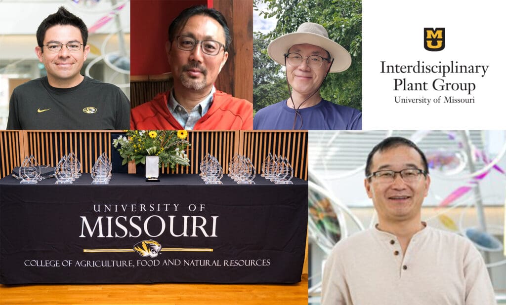 Four IPG Faculty Members Receive Awards at CAFNR’s Celebration of Excellence