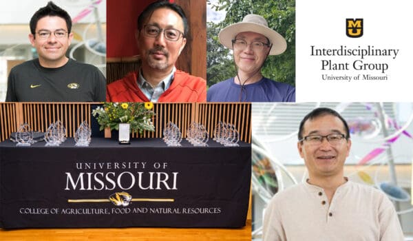 Four IPG Faculty Members Receive Awards at CAFNR’s Celebration of Excellence