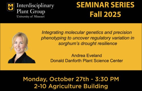IPG Seminar – Dr. Andrea Eveland
