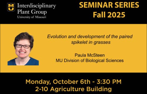 IPG Seminar – Dr. Paula McSteen