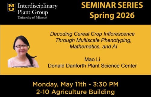 IPG Seminar – Mao Li